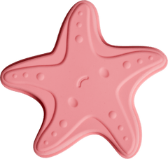 Sea Creatures Beach Toy Set