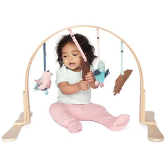 Natural Play Gym